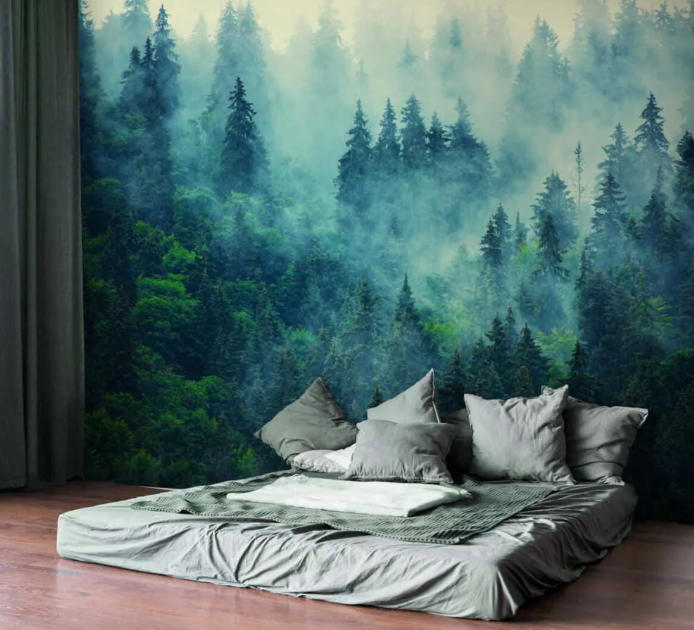 Шпалери Туманний ліс вранці u33150