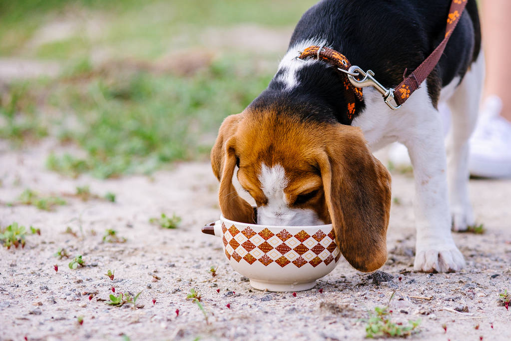 AD_4nXdm3pDkysBk7aU9sKBXy0HSxDlOE5ui8FUI_EfplvDTsNbRsZZEN3ykZIcooGych09M5hlXZCSzRR9QZoy7AsuuBa3DDprKtYyGqIWcILWtg9R79HhJ0T_LLL2XX6wMNqXY_brV4w?key=FkcORffaigaUYLypQEqA5dwI