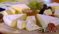 Формы для изготовления мягкого сыра типа “Камамбер”, “Бри”.
Масса готового сыра. . фото 5