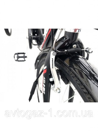 Электровелосипед трехколесный стальной c ручкой газа и системой PAS
Рама: стальн. . фото 6