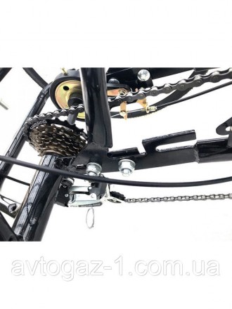 Электровелосипед трехколесный стальной c ручкой газа и системой PAS
Рама: стальн. . фото 10
