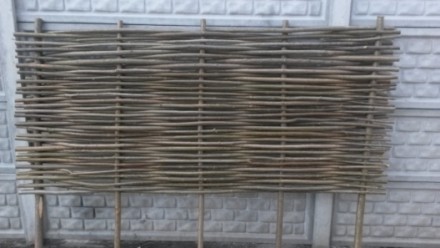 Производим плетеный забор из лещина, орешник, в народе так называемый, украински. . фото 4