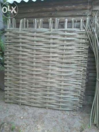 Производим плетеный забор из лещина, орешник, в народе так называемый, украински. . фото 10
