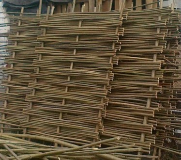 Производим плетеный забор из лещина, орешник, в народе так называемый, украински. . фото 5