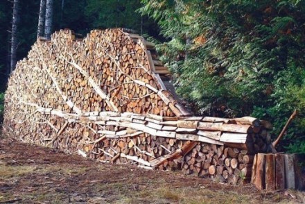 Быстро и качественно привезем дрова дубовые в любом количестве (от 3х складометр. . фото 3