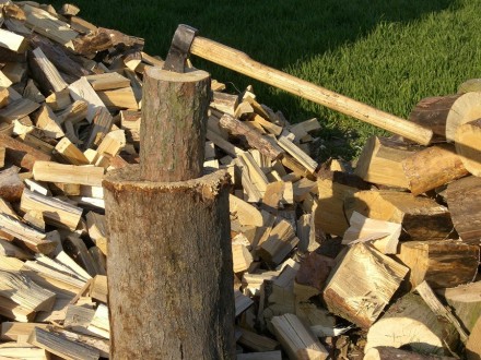 Быстро и качественно привезем дрова дубовые в любом количестве (от 3х складометр. . фото 2