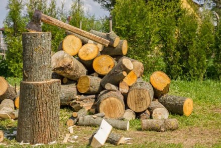 Быстро и качественно привезем дрова дубовые в любом количестве (от 3х складометр. . фото 4