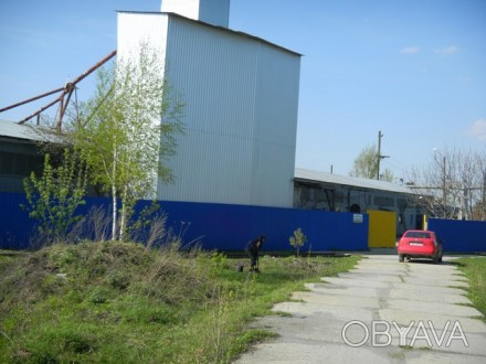 Завод по переработке сельхоз продукции - горох, в Хмельницкой области. Территори. . фото 1