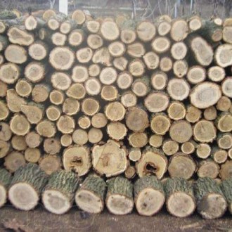 Мы являемся одним из крупных поставщиков дров в Киеве и области. для пиролизных . . фото 4