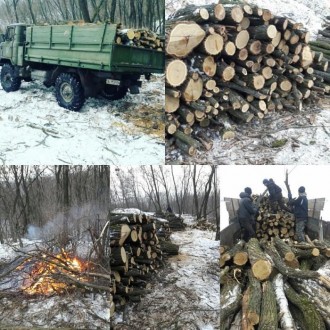 Мы являемся одним из крупных поставщиков дров в Киеве и области. для пиролизных . . фото 5