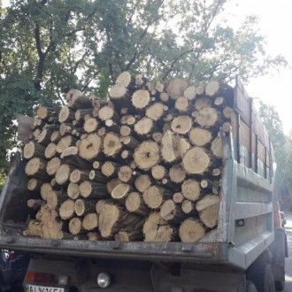Мы являемся одним из крупных поставщиков дров в Киеве и области. для пиролизных . . фото 2