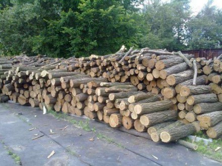 Мы являемся одним из крупных поставщиков дров в Киеве и области. для пиролизных . . фото 7