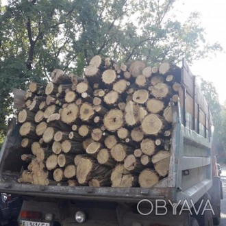 Мы являемся одним из крупных поставщиков дров в Киеве и области. для пиролизных . . фото 1