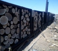 Предлагается к продаже универсальный промышленный комплекс по переработке древес. . фото 3