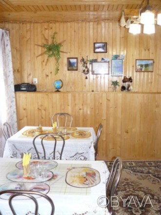 Гостевой двор «Саламандра» предлагает своим гостям функциональные и уютные номер. Яремча. фото 1