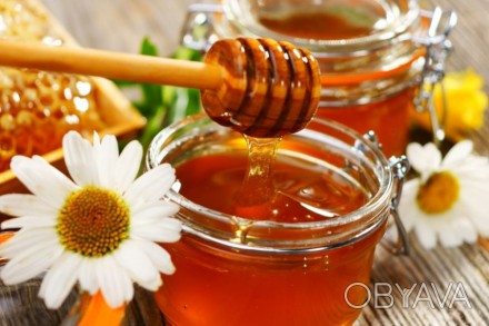 Продам натуральний свіжий квітковий мед. Без домішків. Ціна можлива по домовлено. . фото 1