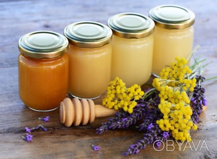 продаю травневий мед 60грн/кг, мед з польових квітів, соняшниково-золотарниковий. . фото 1