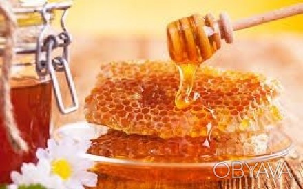 Продам натуральний мед урожаю 2017з власної пасіки за доступною ціною . Доставка. . фото 1
