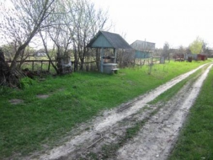 1эт. домик в с. Кобылянка, от Чернигова 20 км., от Киева 160 км., деревянный обл. . фото 13