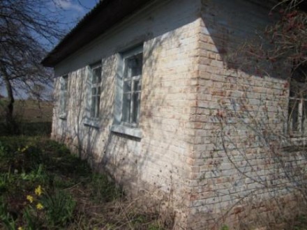 1эт. домик в с. Кобылянка, от Чернигова 20 км., от Киева 160 км., деревянный обл. . фото 12