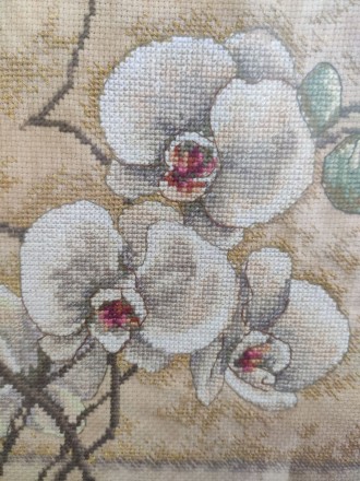 Картина "Орхидея"
Выполнено в технике счётный крест.
Станет замечательным пода. . фото 5