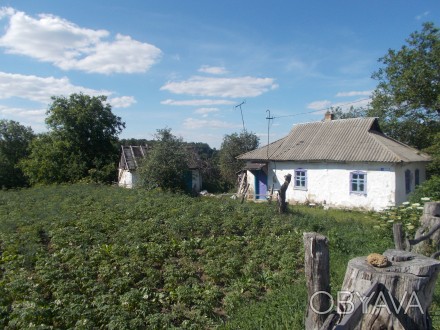 Продам участок в селе Шкаровка, 5 км от Белой Церкви. Участок ровный, есть стары. Шкаровка. фото 1