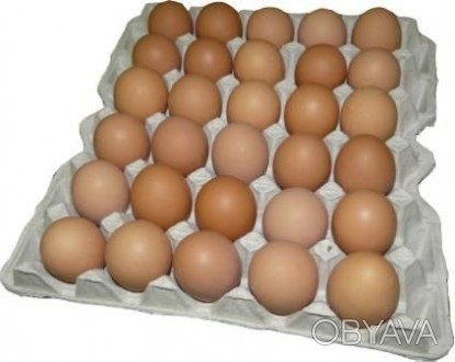 Предлагаем яйца куриные С1, оптом. Столовые и диетические. Безнал - 12 грн/дес. . . фото 1