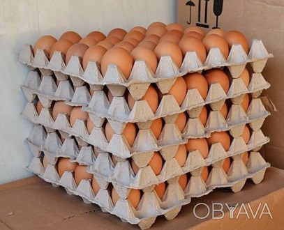 Продаём яйцо куриное C0, С1, С2 оптом от производителя. Цены и наличие уточнять . . фото 1