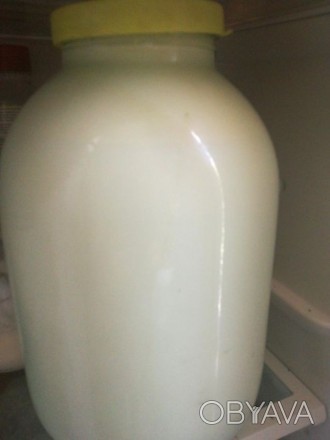 Хорошее жирное молоко от хозяина под заказ.100 рублей за три литра.квартал 50 ле. . фото 1