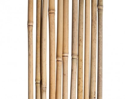 Бамбуковые опоры - это ровные и крепкие стволы, с толстыми стенками, способные в. . фото 4