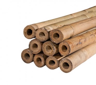 Бамбуковые опоры - это ровные и крепкие стволы, с толстыми стенками, способные в. . фото 3