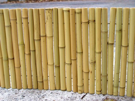 Длина:  3 м
Высота: 30 см
Диаметр бамбуковых стволов: 2-3 см

Заборчик изгот. . фото 3