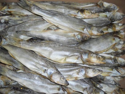 Продам копченую рыбу..Лещ большой копченый цена 215 грн за 1 кг.плотва вяленая -. . фото 4
