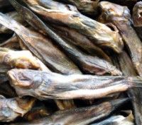 Продам копченую рыбу..Лещ большой копченый цена 215 грн за 1 кг.плотва вяленая -. . фото 5