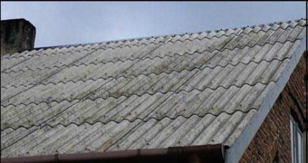 Досих пор думаете чем перекрыть крышу: шифером или металлочерепицей?

Просто п. . фото 4