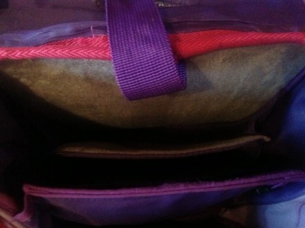 Рюкзак zibi в хорошем состоянии ,с ортопедической спинкой,5 внутренних карманов,. . фото 6