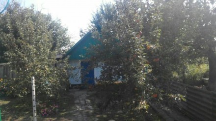 В с. Ковалевка Полтавского района на берегу р.Коломак продаются два жилых дома 7. . фото 9