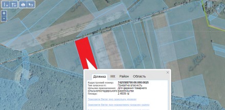 Приватизированный земельный участок ОСГ площадью 2.40 га. в Черниговском р-не, 1. . фото 3