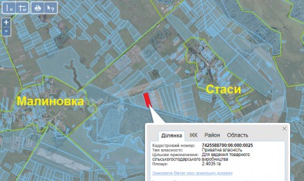Приватизированный земельный участок ОСГ площадью 2.40 га. в Черниговском р-не, 1. . фото 2