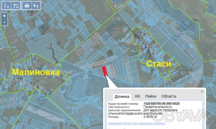 Приватизированный земельный участок ОСГ площадью 2.40 га. в Черниговском р-не, 1. . фото 1
