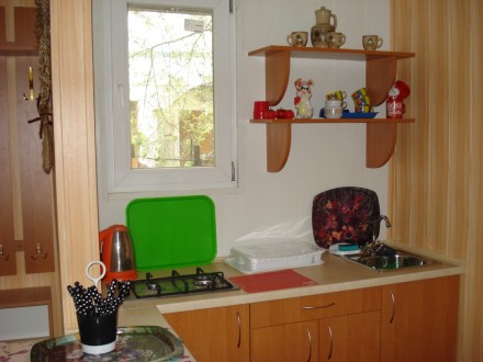 Отдельно стоящий домик /кухня-студия, туалет, душ/, бытовая техника , два дивана. Суворовське. фото 3