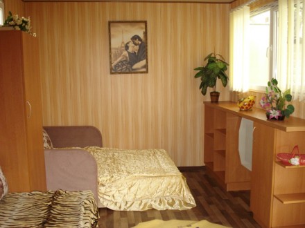 Отдельно стоящий домик /кухня-студия, туалет, душ/, бытовая техника , два дивана. Суворовське. фото 2