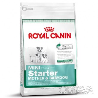 Royal Canin (Роял Канин) MINI STARTER - первый твердый корм для щенков мини поро. . фото 1