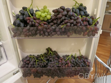 Продам качественные черенки и одно-двух-трехлетние саженцы столового винограда.
. . фото 1