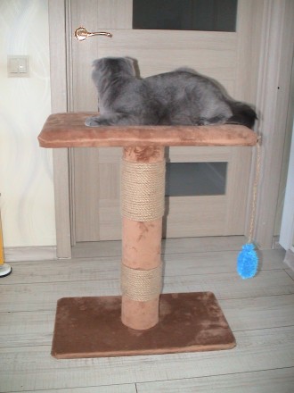 Продам новую когтеточку собственного производства, с лежачком для крупных кошек.. . фото 2