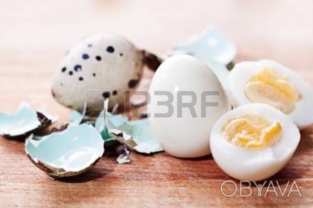 Яйцо перепелинное пищевое, постоянно в продаже, перепела кормленные на натуральн. . фото 1