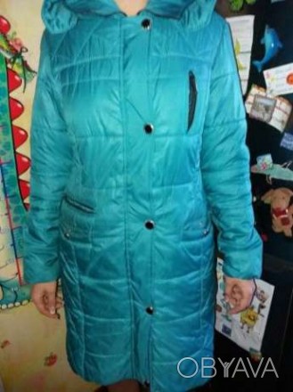 Курточка на синтапоні у хорошому стані на теплу зиму або холодну осінь,розмір м . . фото 1
