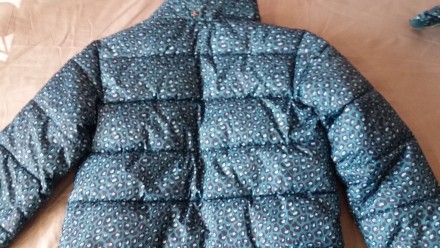 Класна темно-бірюзова тигрова курточка для дівчинки фірми  H&M. В дуже гарному с. . фото 3