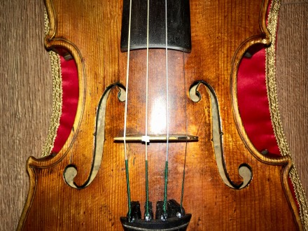 Скрипка с новым футляром, струны Томастик, без смычка.

Скрипка 4/4 мануфактур. . фото 3