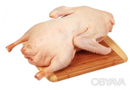 Продам мясо гуся 90 грн./кг. Птица выращена исключительно на собственных натурал. . фото 1